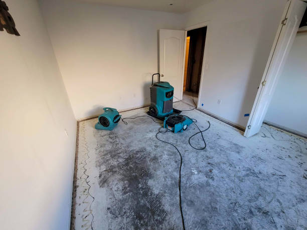  Kettering, MD Water damage restoration Pros