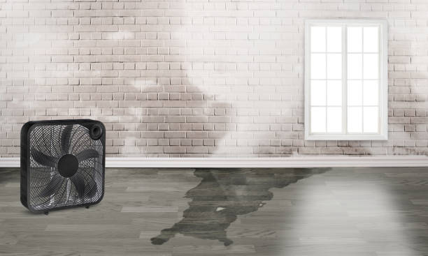 Best Emergency water damage restoration  in Kettering, MD