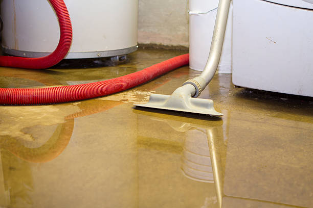Best Water damage restoration near me  in Kettering, MD