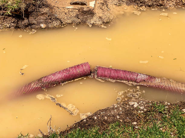 Best Residential water damage restoration  in Kettering, MD